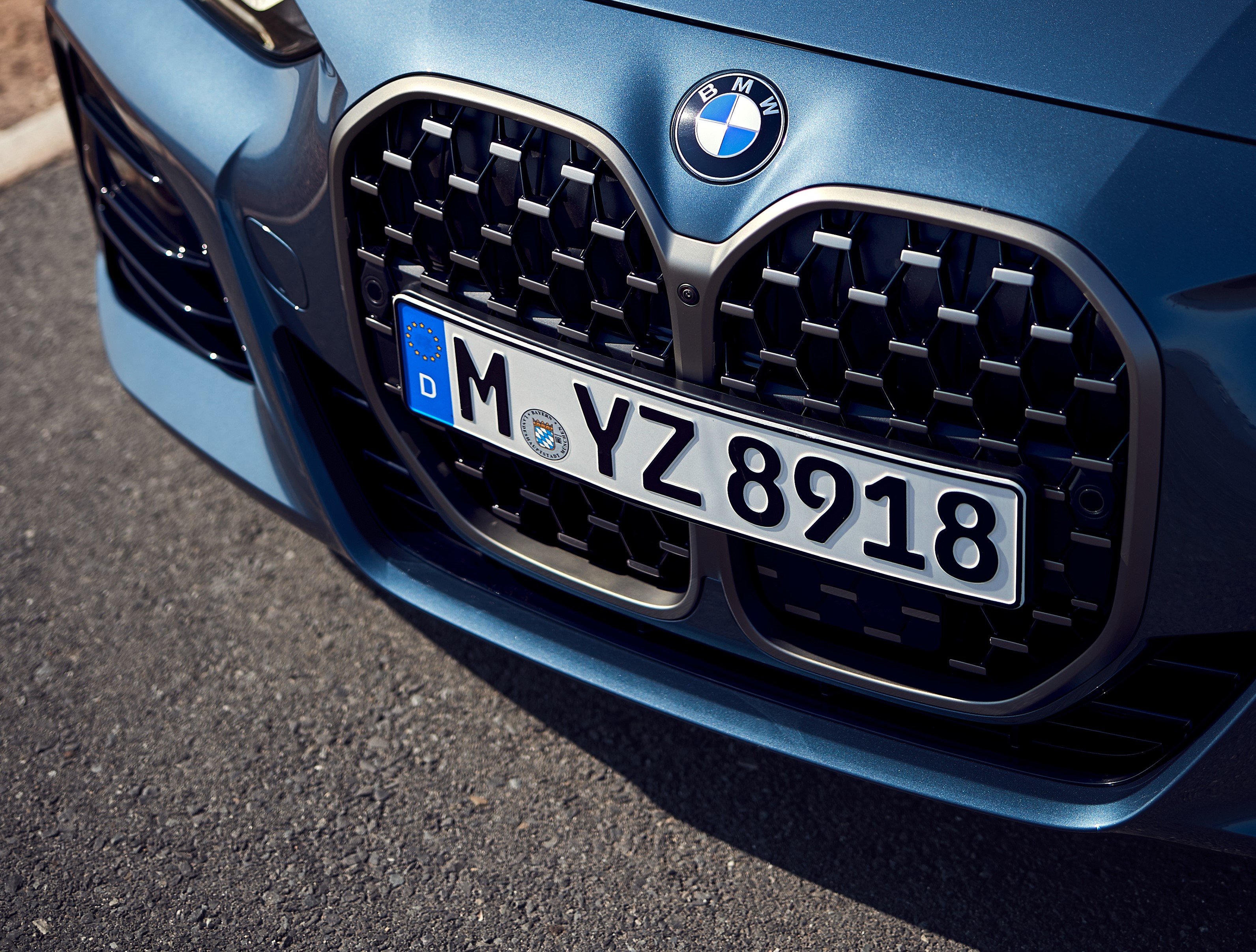 BMW 4-Series grille.jpg