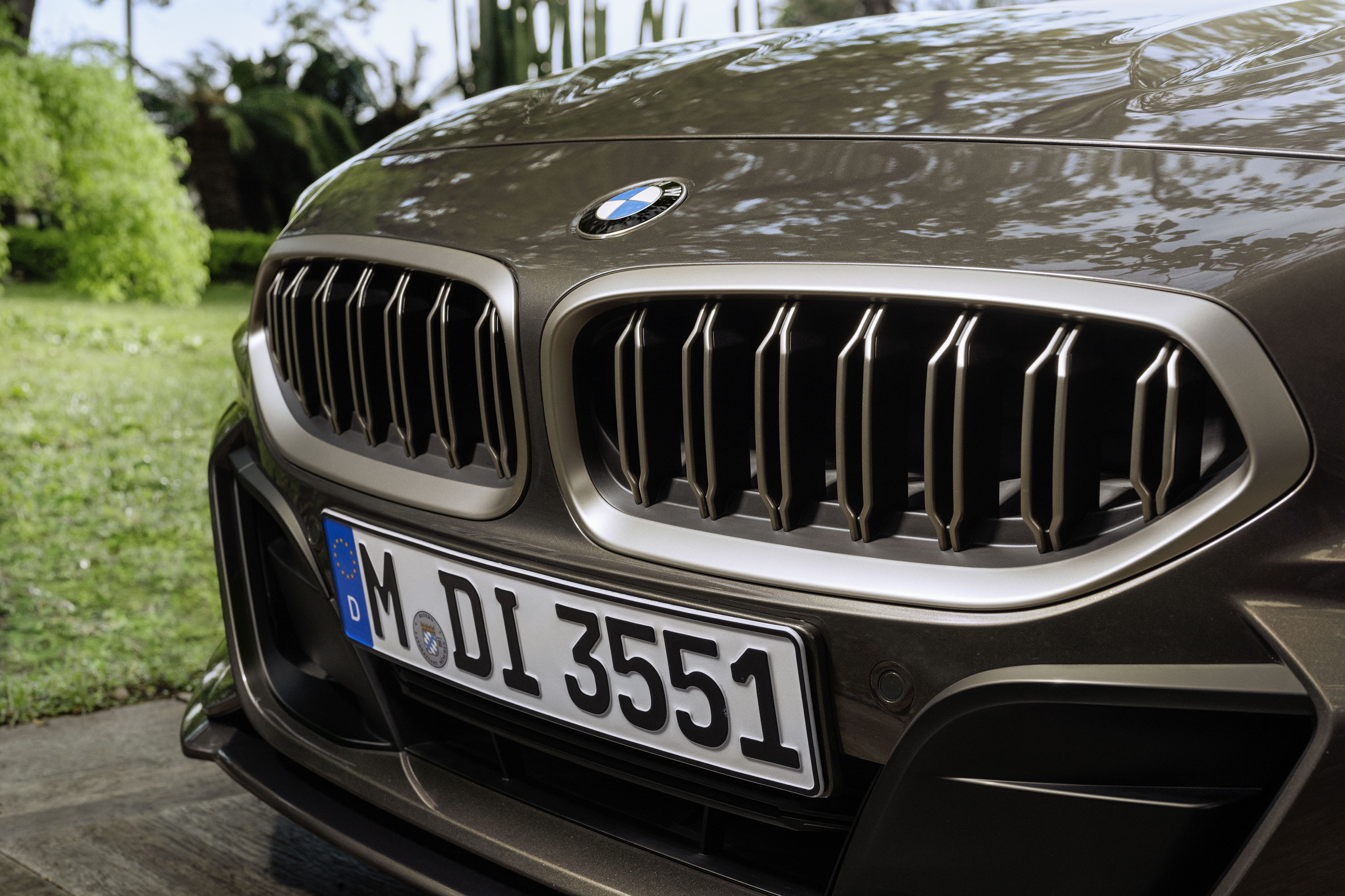 BMW Touring Coupe grille.jpg
