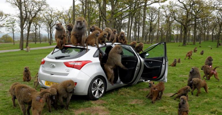 Hyundairsquos new i30 Elantra besieged by park primates