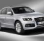 Q5 CUV one of several Audis slated to offer diesel option in US