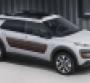 PSA Building C4 Cactus at Nearly Shuttered Plant