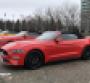 Tops up on Mustang convertibles at chilly 54th anniversary of iconic pony car at Ford World Headquarters